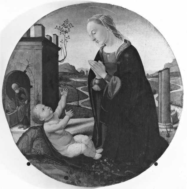 Lensini, Fabio — Tucci Biagio di Antonio - sec. XV - Madonna in adorazione del Bambino — insieme
